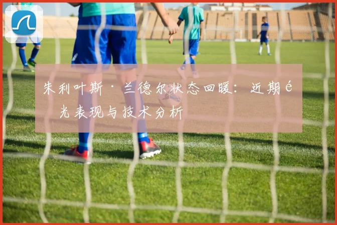 朱利叶斯·兰德尔状态回暖：近期高光表现与技术分析